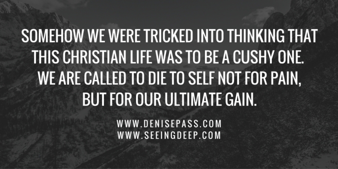 Somehow we were tricked into thinking that this Christian life was to be a cushy one.